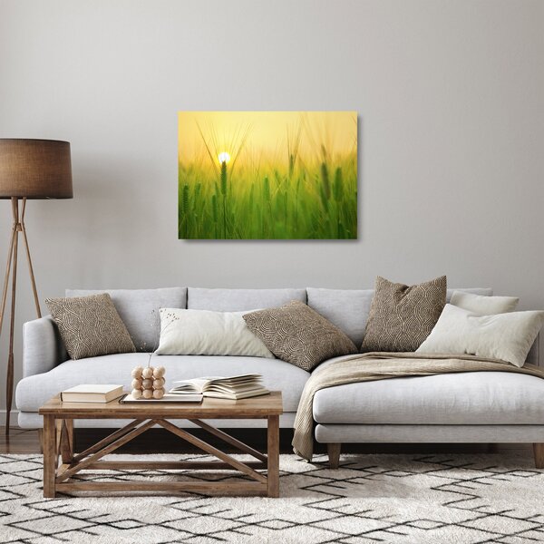 Kép - Mező gabonával (üvegen) (70x50 cm)