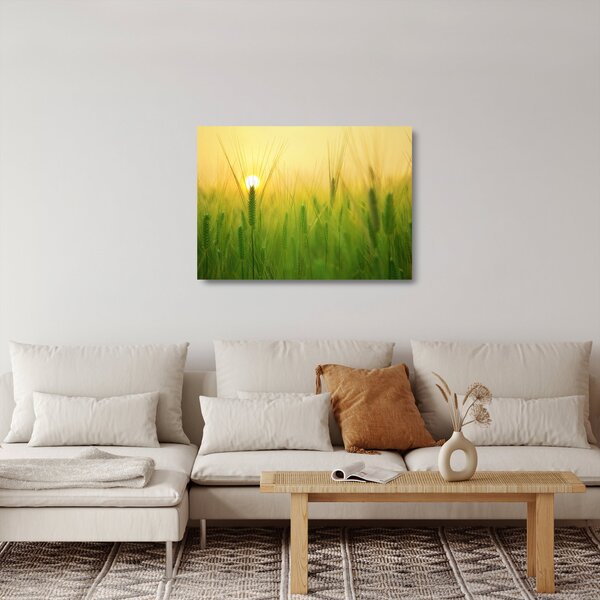 Kép - Mező gabonával (üvegen) (70x50 cm)