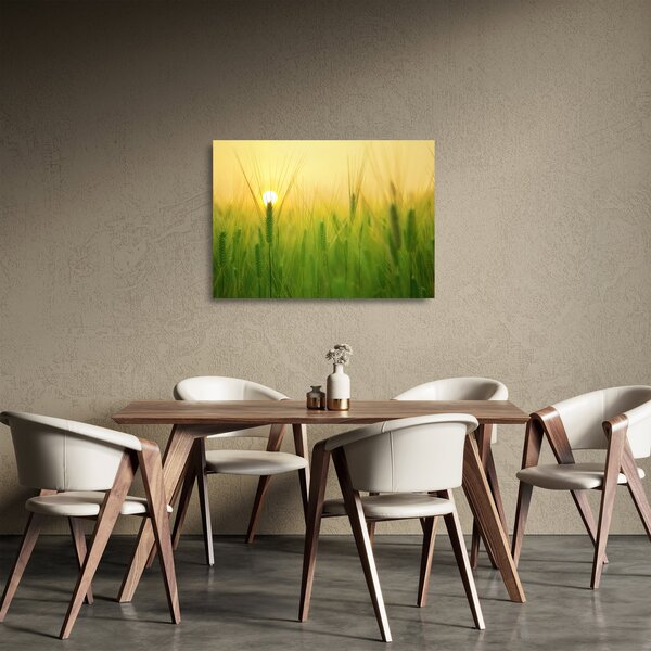 Kép - Mező gabonával (üvegen) (70x50 cm)