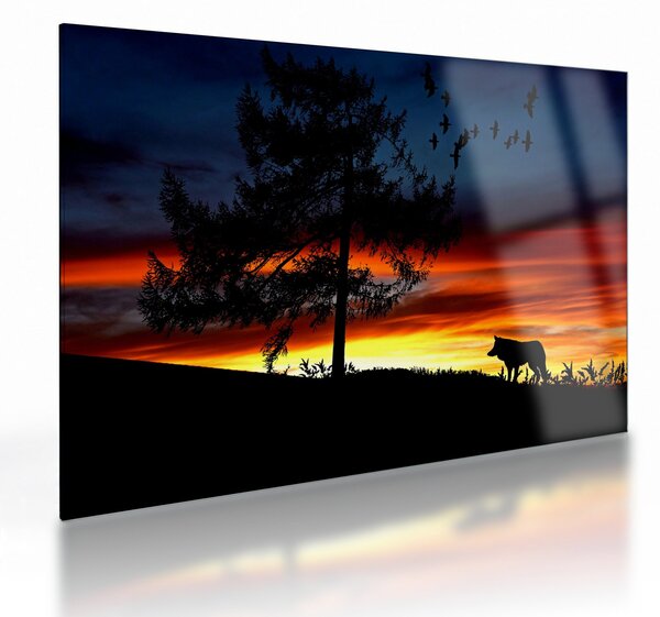 Kép - Farkas sziluettje (üvegen) (70x50 cm)
