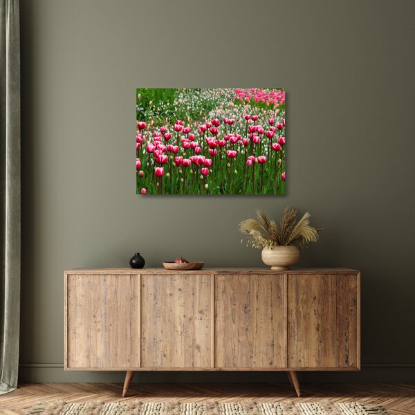 Tulipán képe (üvegen) (70x50 cm)