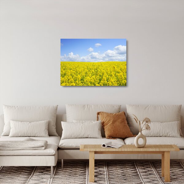 Egy sárga mező képe (üvegen) (70x50 cm)