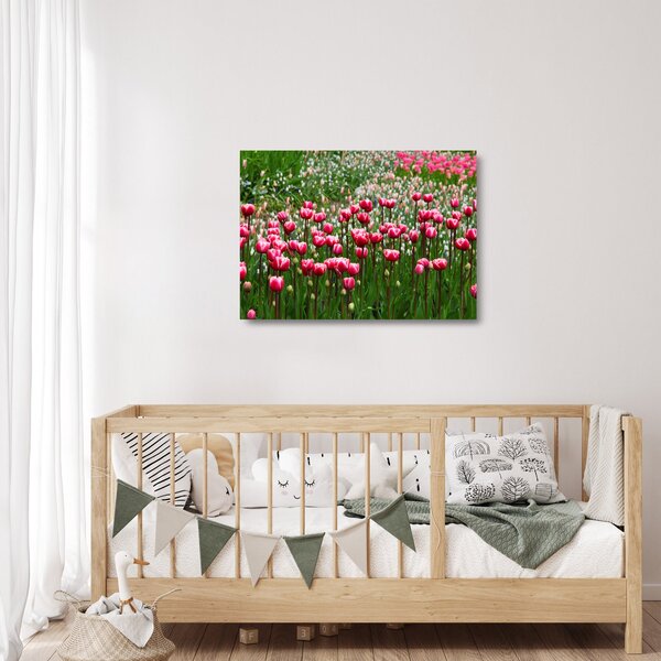 Tulipán képe (üvegen) (70x50 cm)
