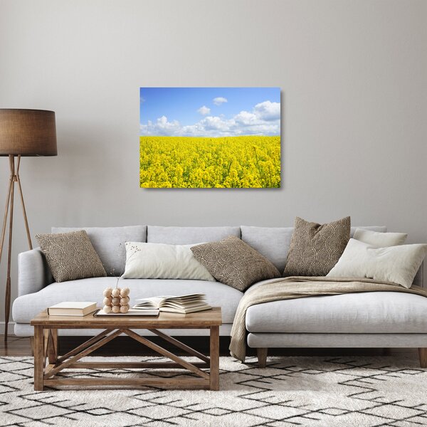 Egy sárga mező képe (üvegen) (70x50 cm)
