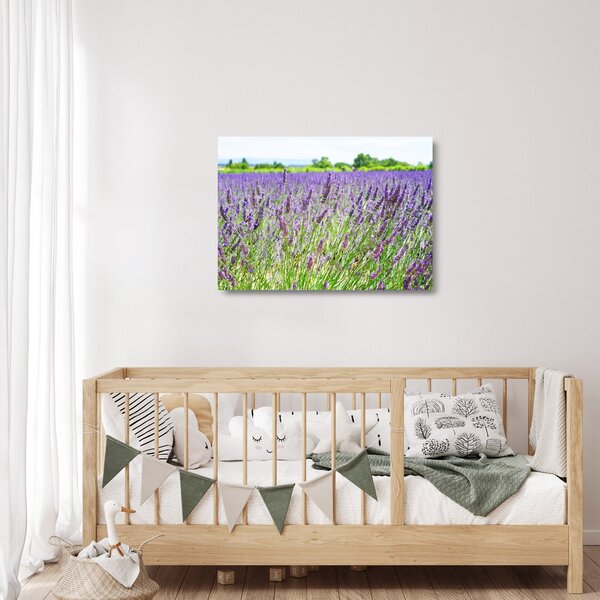 Egy mező képe a levendulával (üvegen) (70x50 cm)