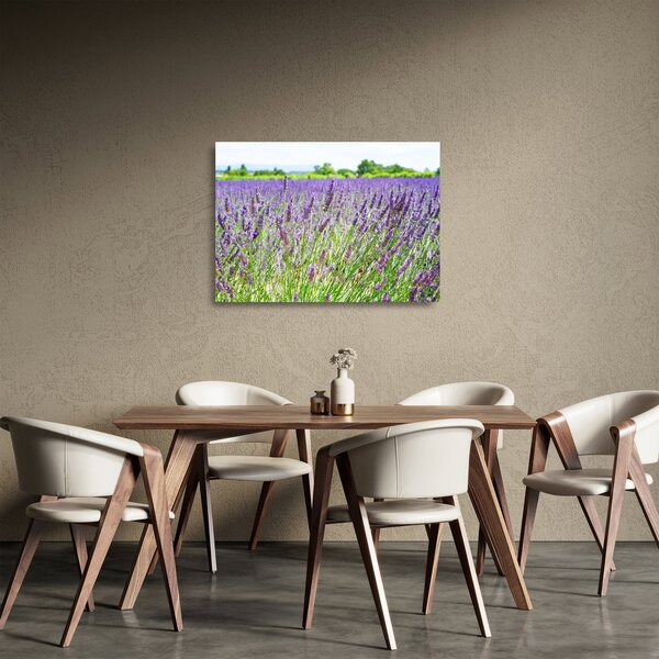 Egy mező képe a levendulával (üvegen) (70x50 cm)