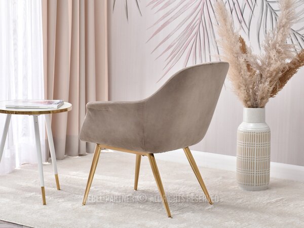 Fotel Osmol F (bézs + fekete)