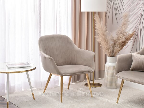 Fotel Osmol F (bézs + fekete)