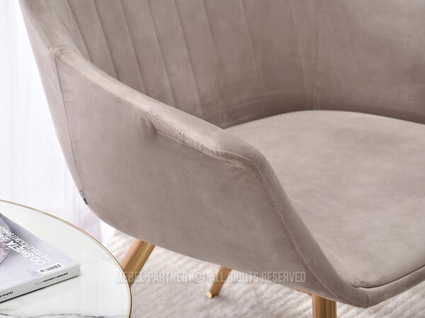 Fotel Osmol F (bézs + fekete)