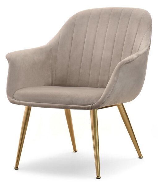 Fotel Osmol F (bézs + fekete)