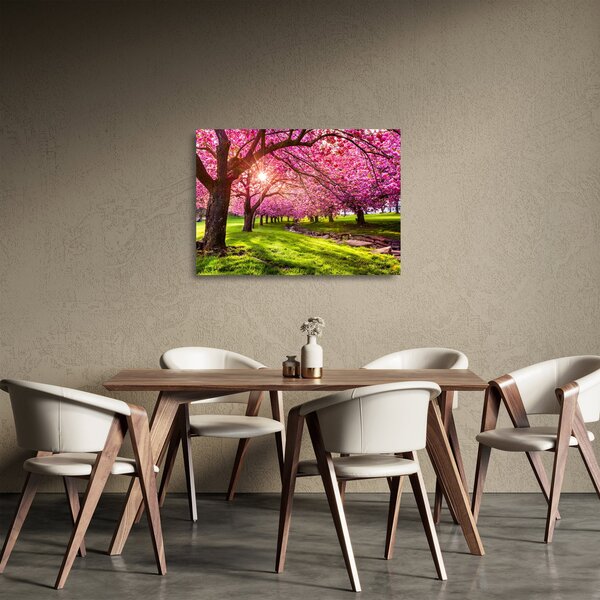 A virágzó cseresznye képe, Hurd Park, Dover, New Jersey (üvegen) (70x50 cm)