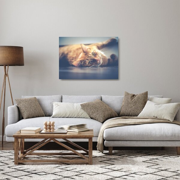 Egy kép a macskáról a padlón (üvegen) (70x50 cm)
