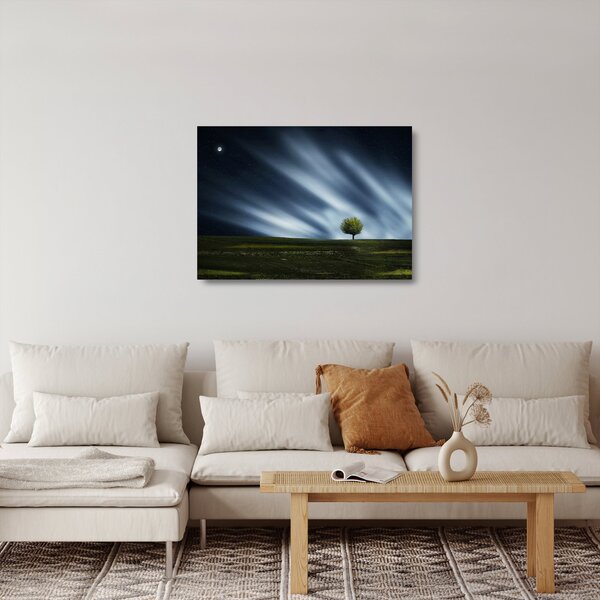 Az aurora borealis képe egy lápvidéken (üvegen) (70x50 cm)