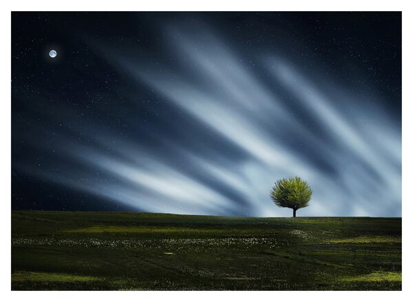 Az aurora borealis képe egy lápvidéken (üvegen) (70x50 cm)