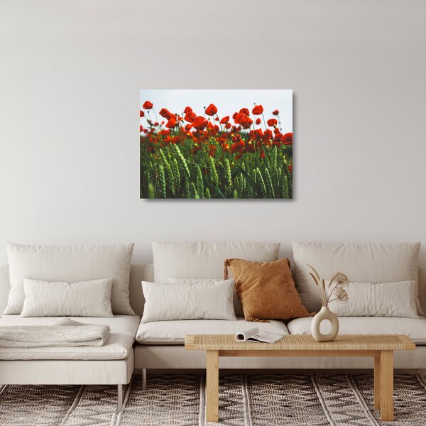 A pipacsok képe a szélben (üvegen) (70x50 cm)