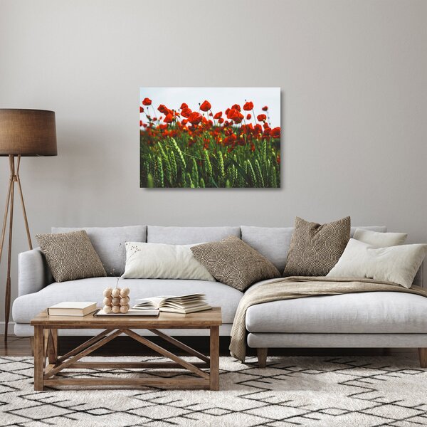 A pipacsok képe a szélben (üvegen) (70x50 cm)