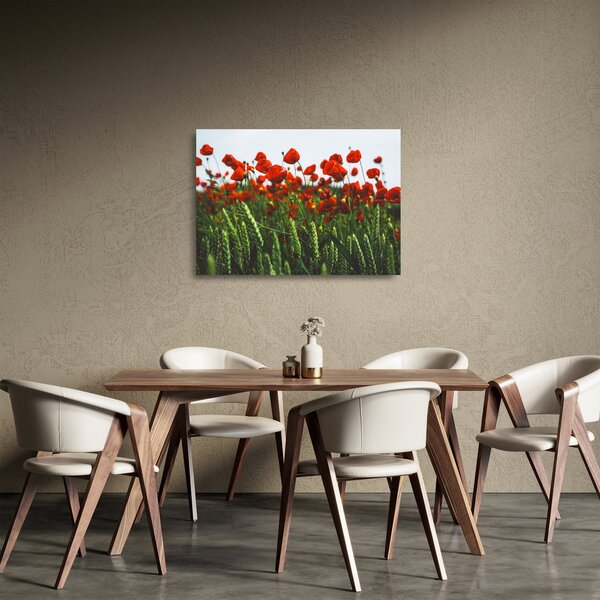 A pipacsok képe a szélben (üvegen) (70x50 cm)