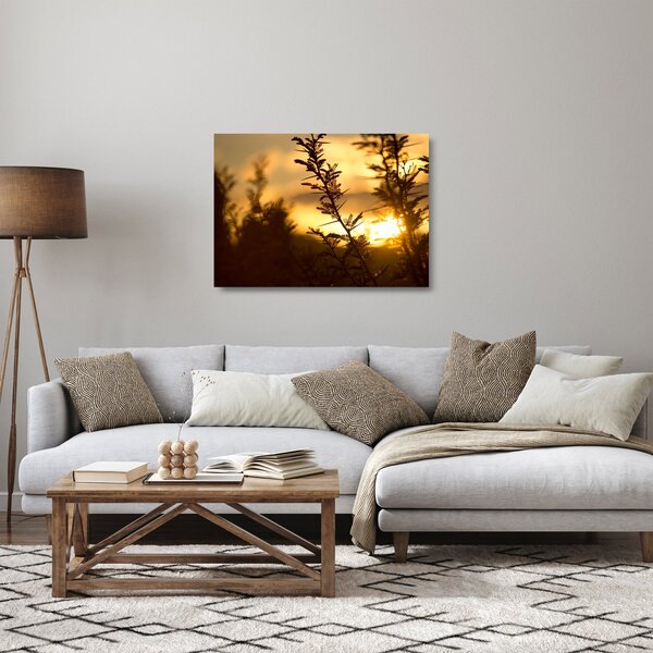 Kép - A nap lenyugszik a fák mögött (üvegen) (70x50 cm)