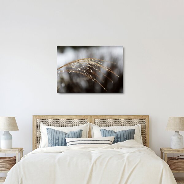 Cseppkép egy növényen (üvegen) (70x50 cm)
