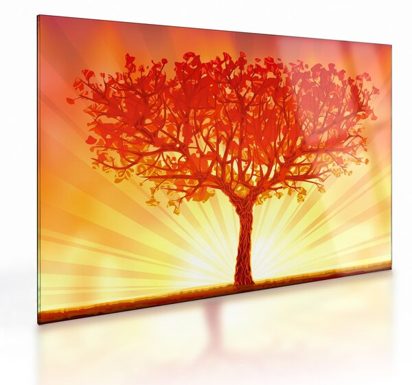 Kép - Fa a nap ragyogásában (üvegen) (70x50 cm)