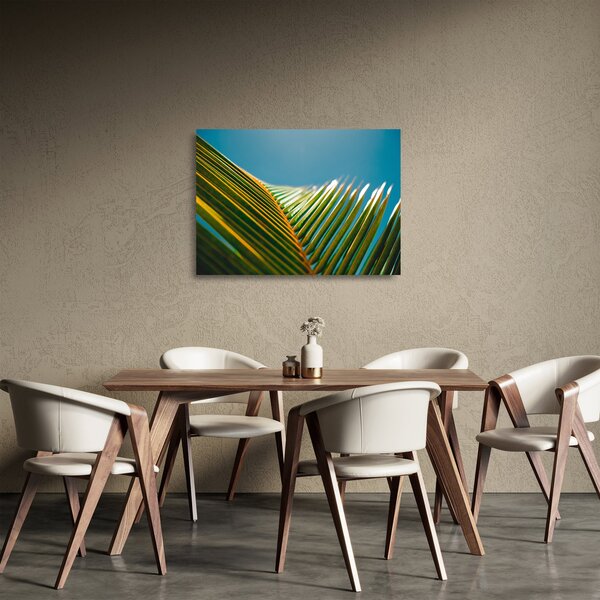 Kép - A pálmalevél részlete (üvegen) (70x50 cm)