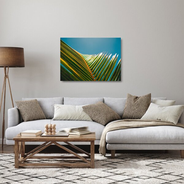 Kép - A pálmalevél részlete (üvegen) (70x50 cm)