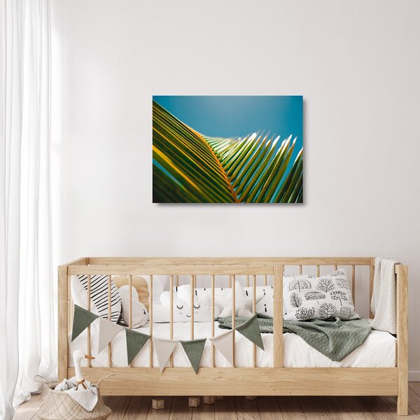 Kép - A pálmalevél részlete (üvegen) (70x50 cm)