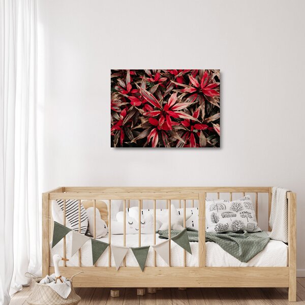 Piros szirmok képe (üvegen) (70x50 cm)