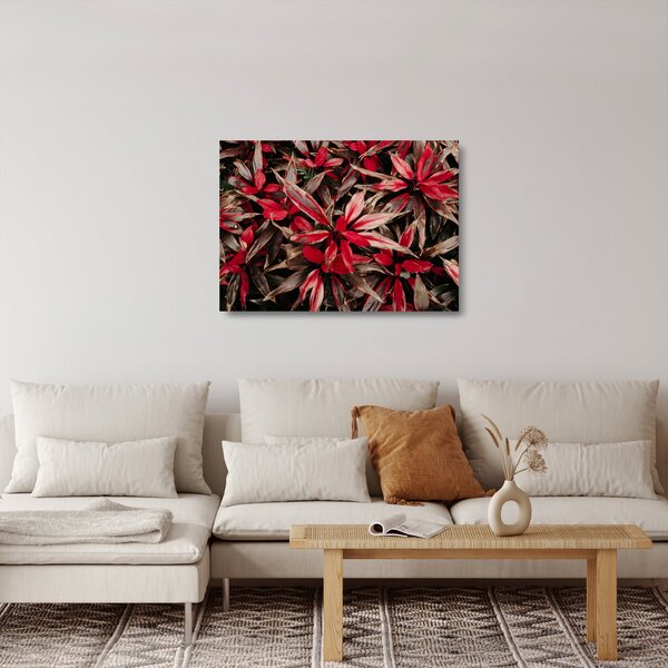 Piros szirmok képe (üvegen) (70x50 cm)