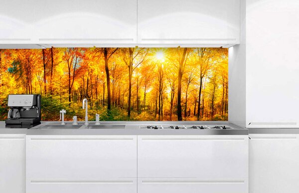 Konyhai fotótapéta - napos erdő 180 x 60 cm