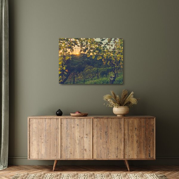 Kép - szőlőültetvény (üvegen) (70x50 cm)