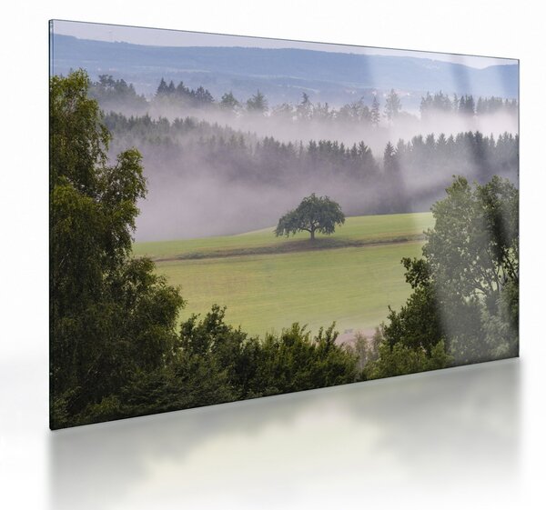 Egy kép a rétről egy fával (üvegen) (70x50 cm)