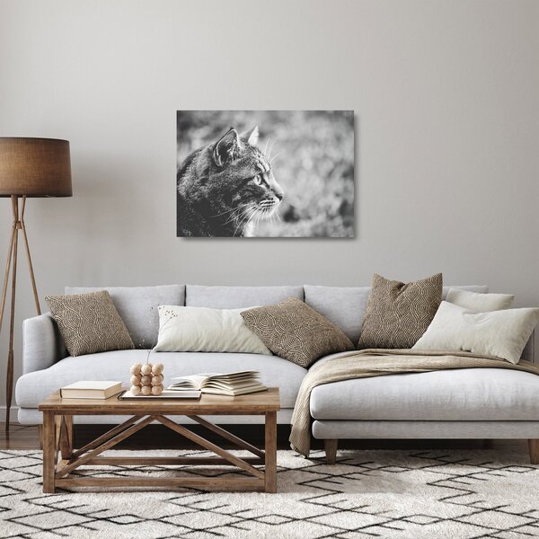 Kép - Macska (üvegen) (70x50 cm)