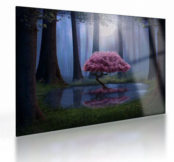 Kép - Varázslatos éjszaka (üvegen) (70x50 cm)