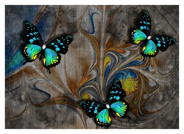 Kép - fényes pillangók képben (üvegen) (70x50 cm)