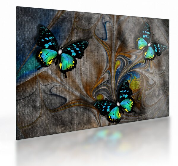 Kép - fényes pillangók képben (üvegen) (70x50 cm)