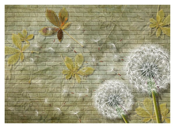 Kép - A szél által hordozott pitypang (üvegen) (70x50 cm)