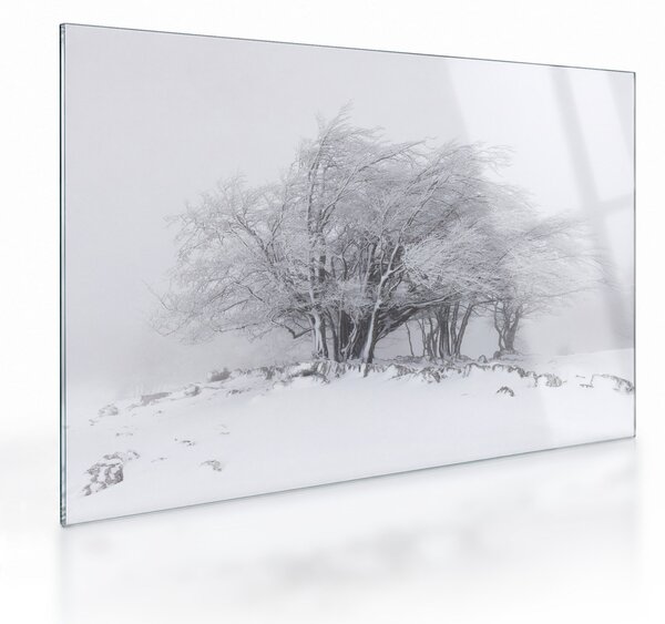 Kép - fehér tél (üvegen) (70x50 cm)