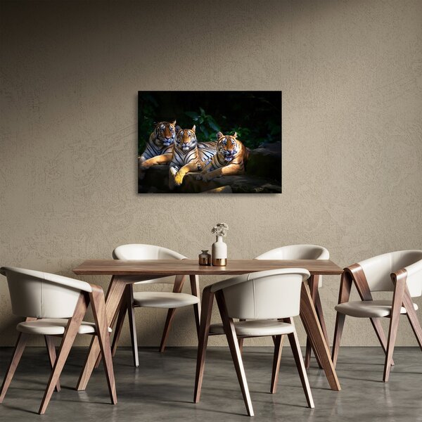 Kép - Tigris testvérek (üvegen) (70x50 cm)