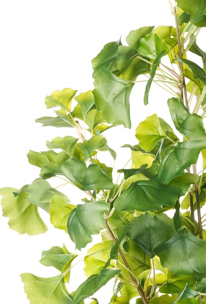 Műnövény GINKGO TREE 150 cm Zöld