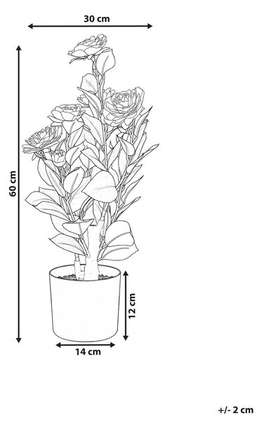 Műnövény CAMELLIA 60 cm Zöld
