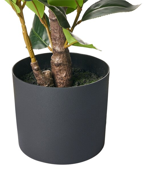 Műnövény CAMELLIA 60 cm Zöld