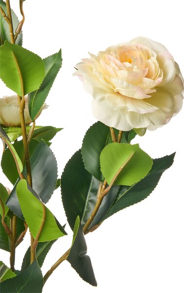 Műnövény CAMELLIA 60 cm Zöld