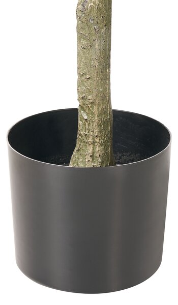Műnövény FICUS TREE 160 cm Zöld