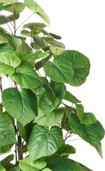 Műnövény FICUS TREE 160 cm Zöld