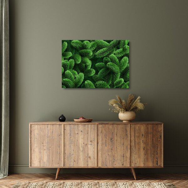 Kép - Tűlevelű gallyak (üvegen) (70x50 cm)