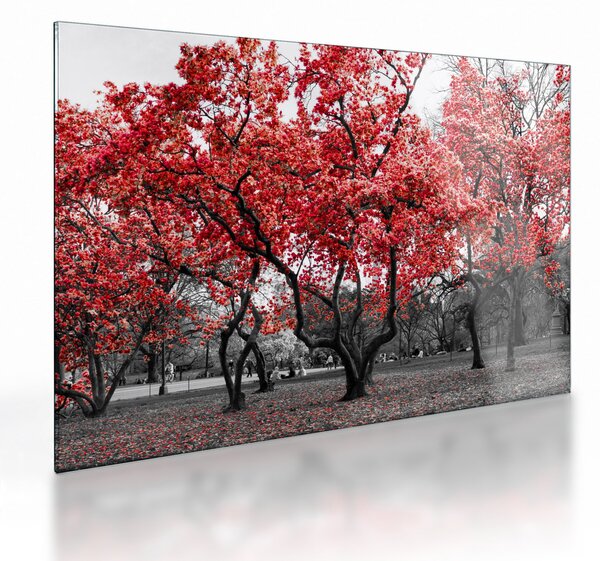 Kép - vörös fák, Central Park, New York (üvegen) (70x50 cm)
