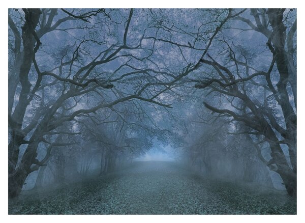 Egy erdő képe a ködben (üvegen) (70x50 cm)
