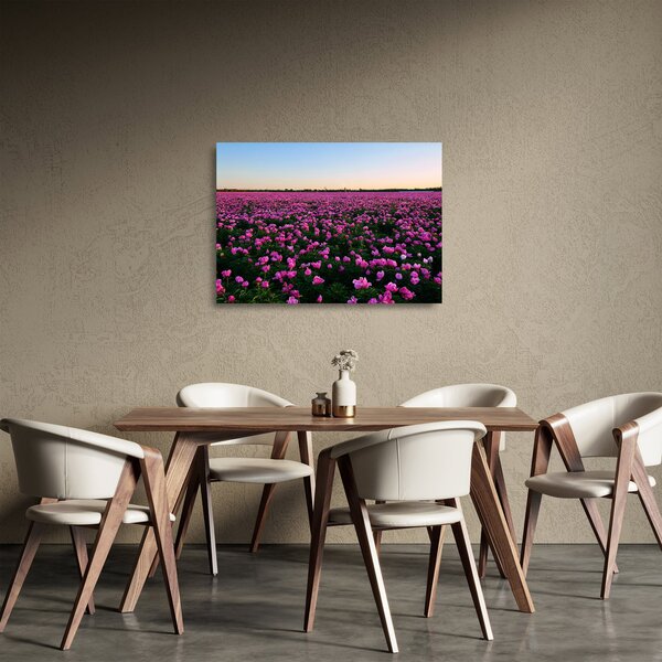 Kép - lila tulipánok rétje (üvegen) (70x50 cm)