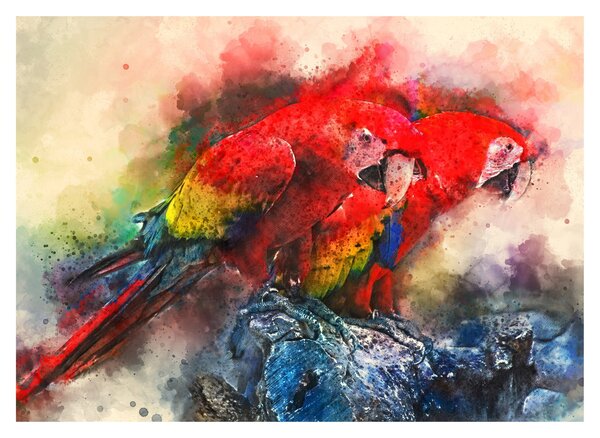 Vörös ara papagájok képe (üvegen) (70x50 cm)